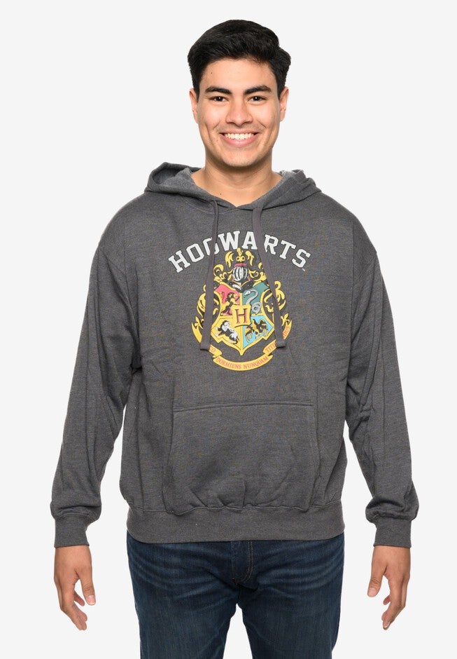 Men's Harry Potter Hoodie Sweatshirt Pullover Hogwarts Gryffindor Slytherin, GRAY, alternate image number null