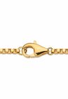 Gold-Plated Lion Head Pendant with Cubic Zirconia accents with 22" Chain, , on-hover image number null