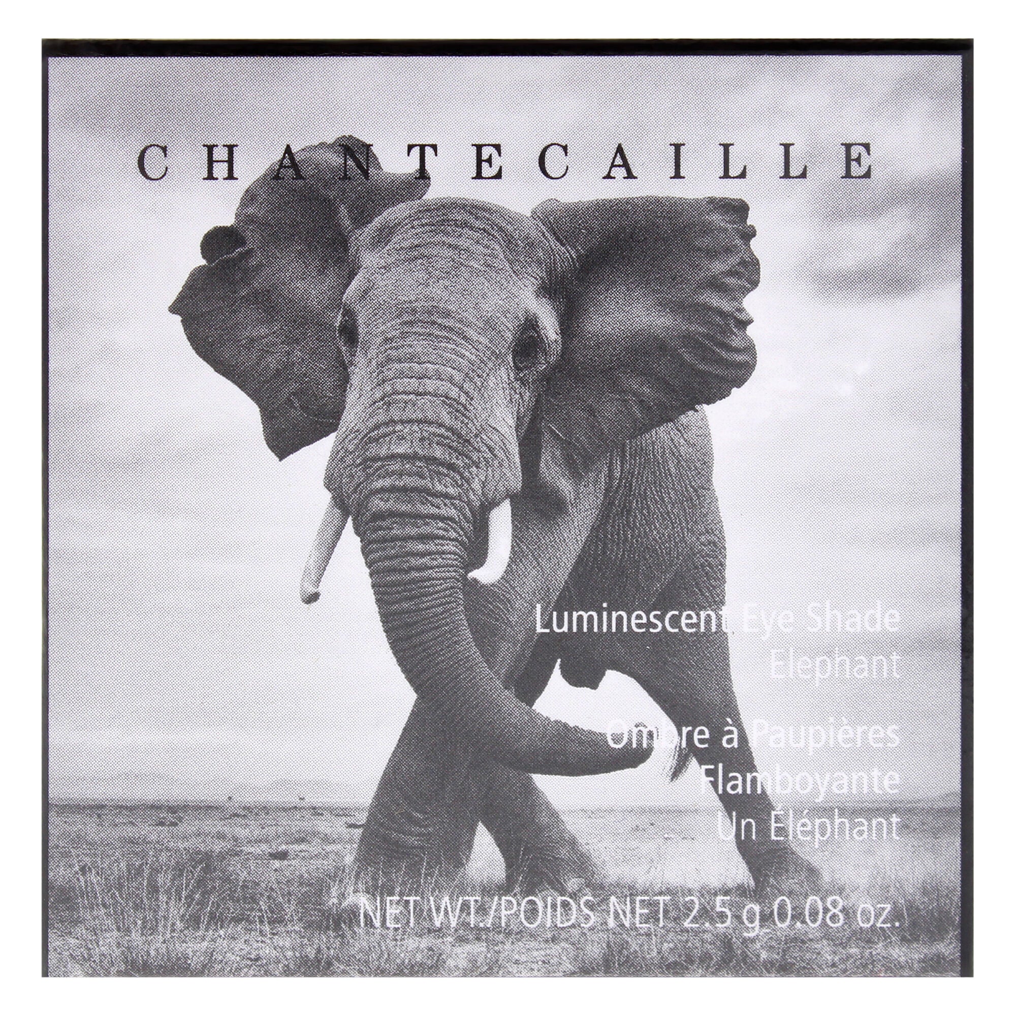 Luminescent Eye Shade - Elephant by Chantecaille for Women - 0.08 oz Eye Shadow, Brown, alternate image number 4