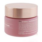 Moisture Plus Rare Rose Cream, , alternate image number null