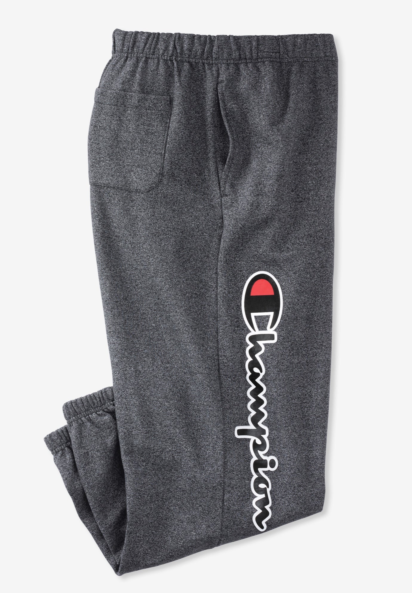 Champion&reg; Fleece Logo Pants image number 1
