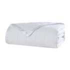 Down-Alternative Blanket image number null