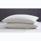 2-Pack Quilless Feather-Filled Pillows image number null
