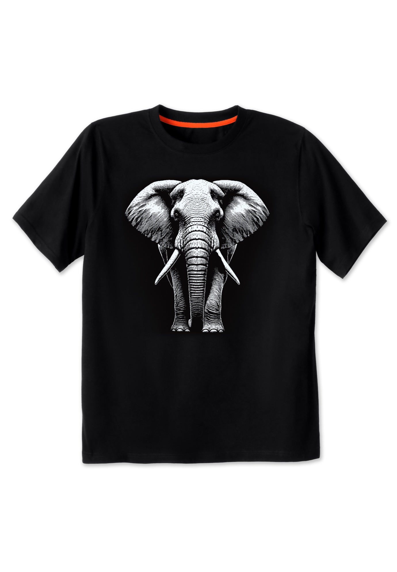 Boulder Creek&trade; Nature Graphic Tee image number 0