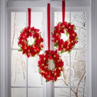 Set Of 3 Cordless Pre-Lit Mini Christmas Wreaths image number null