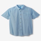 Short Sleeve Wrinkle-Free Sport Shirt image number null