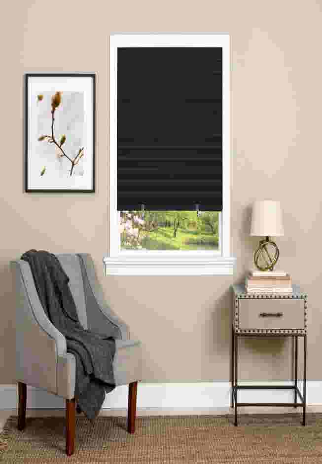 Cordless Room Darkening Vinyl Pleated Shade image number 0