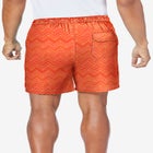 5" Swim Shorts with Super Stretch Liner image number null