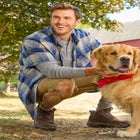  Short Sleeve Flannel Shirt image number null