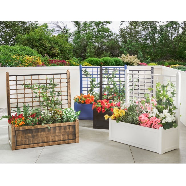 Flower Box With Trellis image number 1