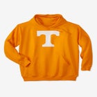 NCAA&reg; Fleece Team Logo Hoodie image number null