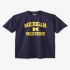 NCAA® Short-Sleeve Tee image number null