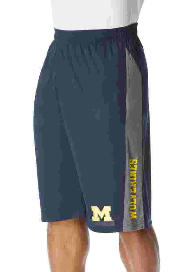 Mesh Shorts image number 2