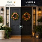  Pre-Lit Botanical Bliss 24&rdquo; Wreath image number null
