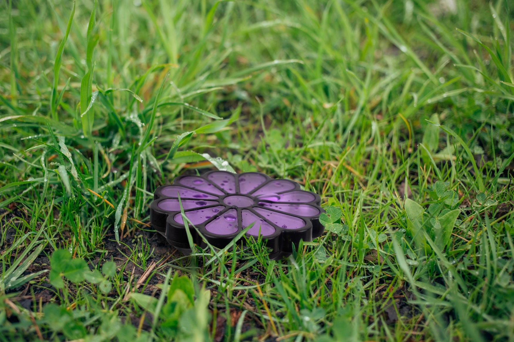  Solar Butterfly Stake Lights, Set of 8 image number 1