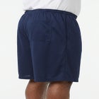 Mesh Performance Short image number null