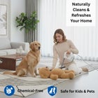 Salav&reg; Clean Steam Compact Steam Cleaner image number null
