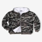 Explorer Plush Fleece Hoodie image number null