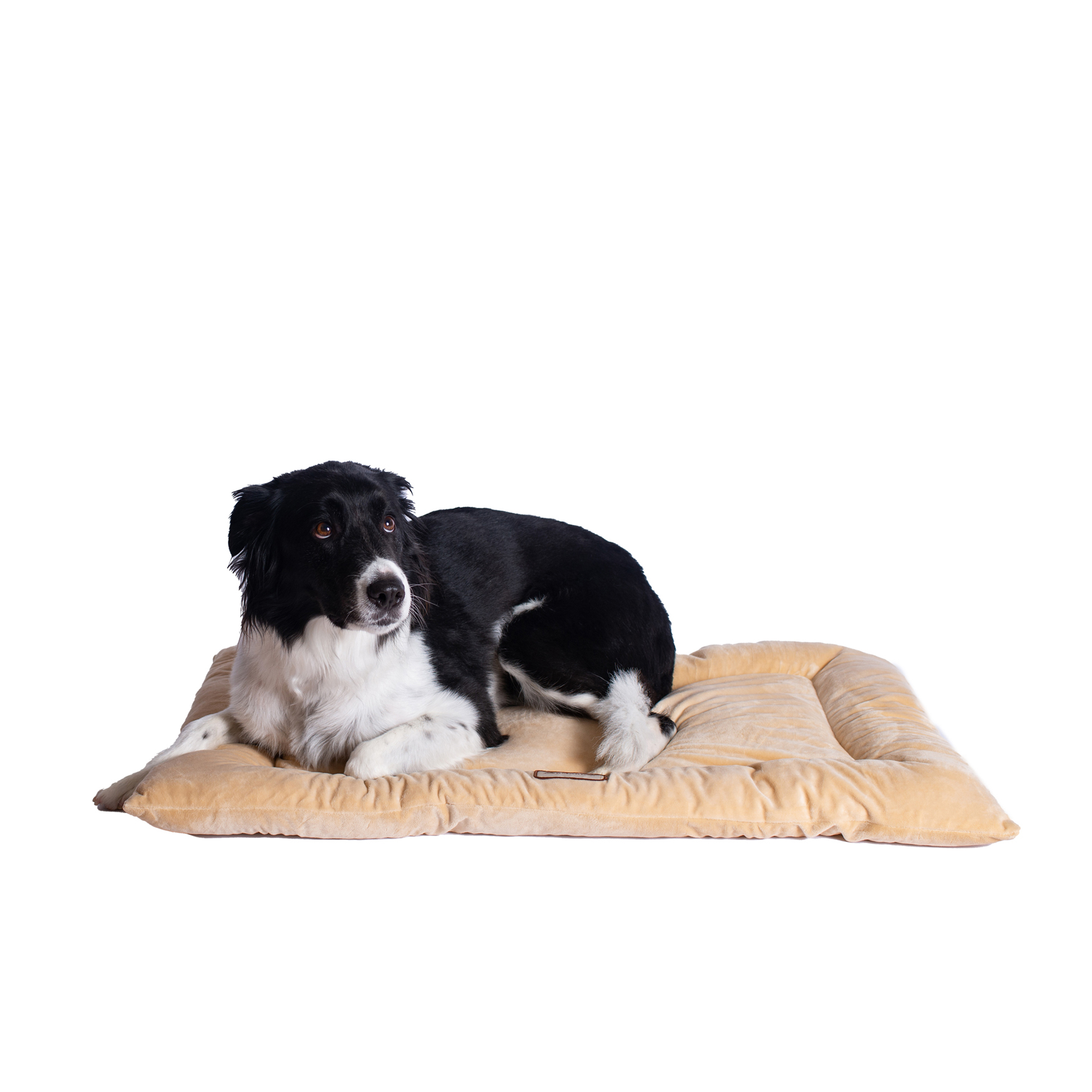 Large Pet Bed Mat , Dog Crate Soft Pad With Poly Fill Cushion, BEIGE