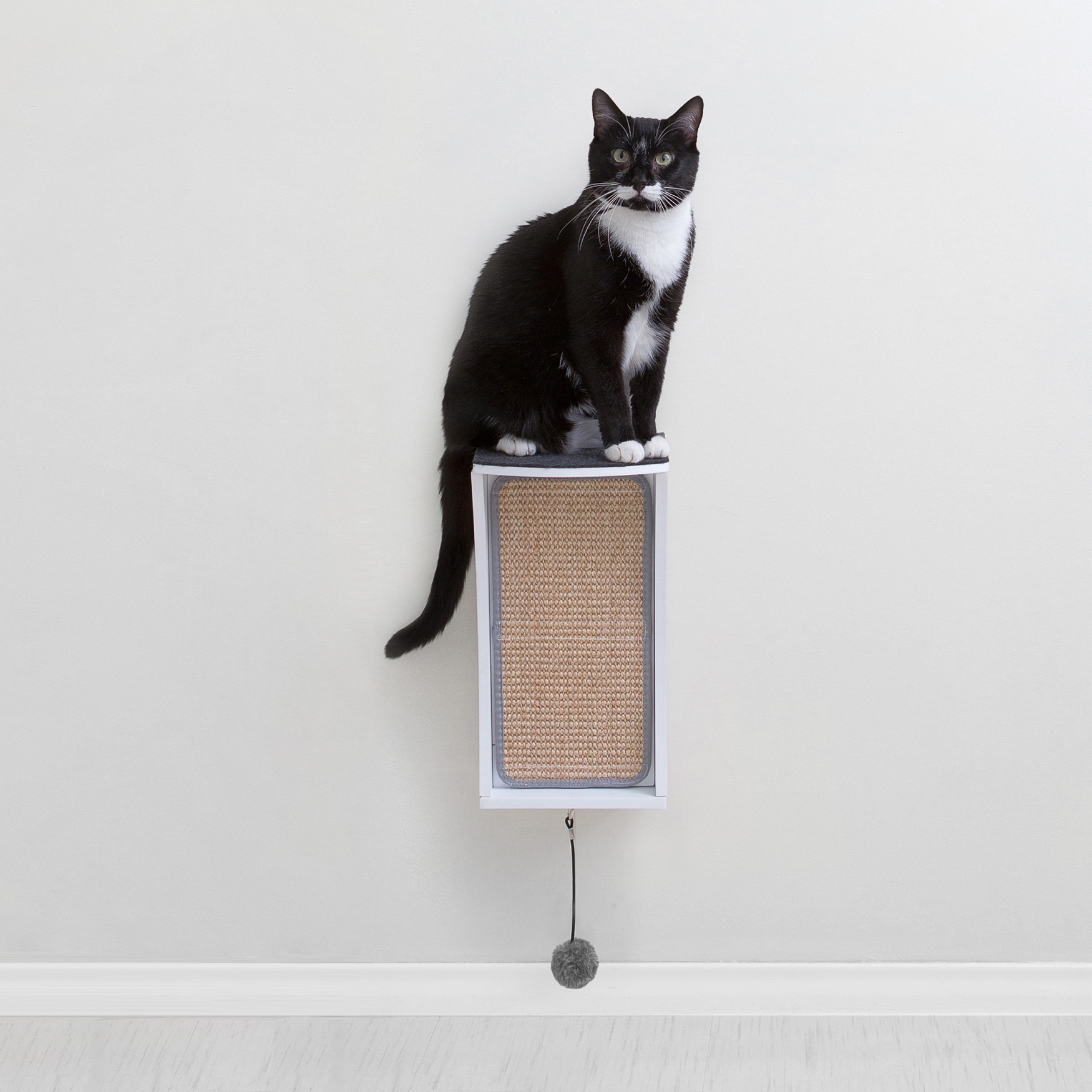 Hauspanther CATchall - Wall Mounted Cat Scratcher, Toy Storage & Perch, 