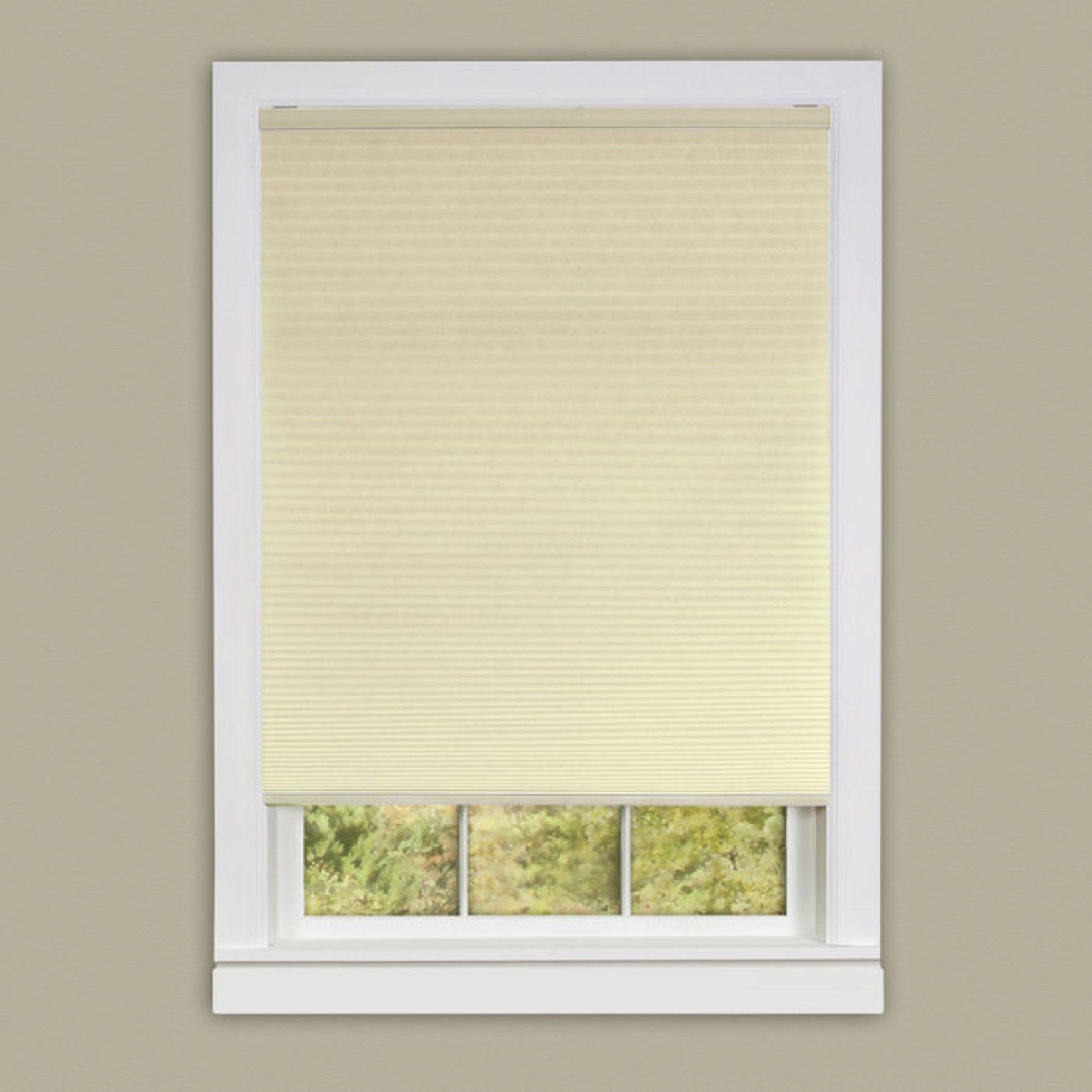 Cordless Honeycomb Cellular Pleated Shade, 