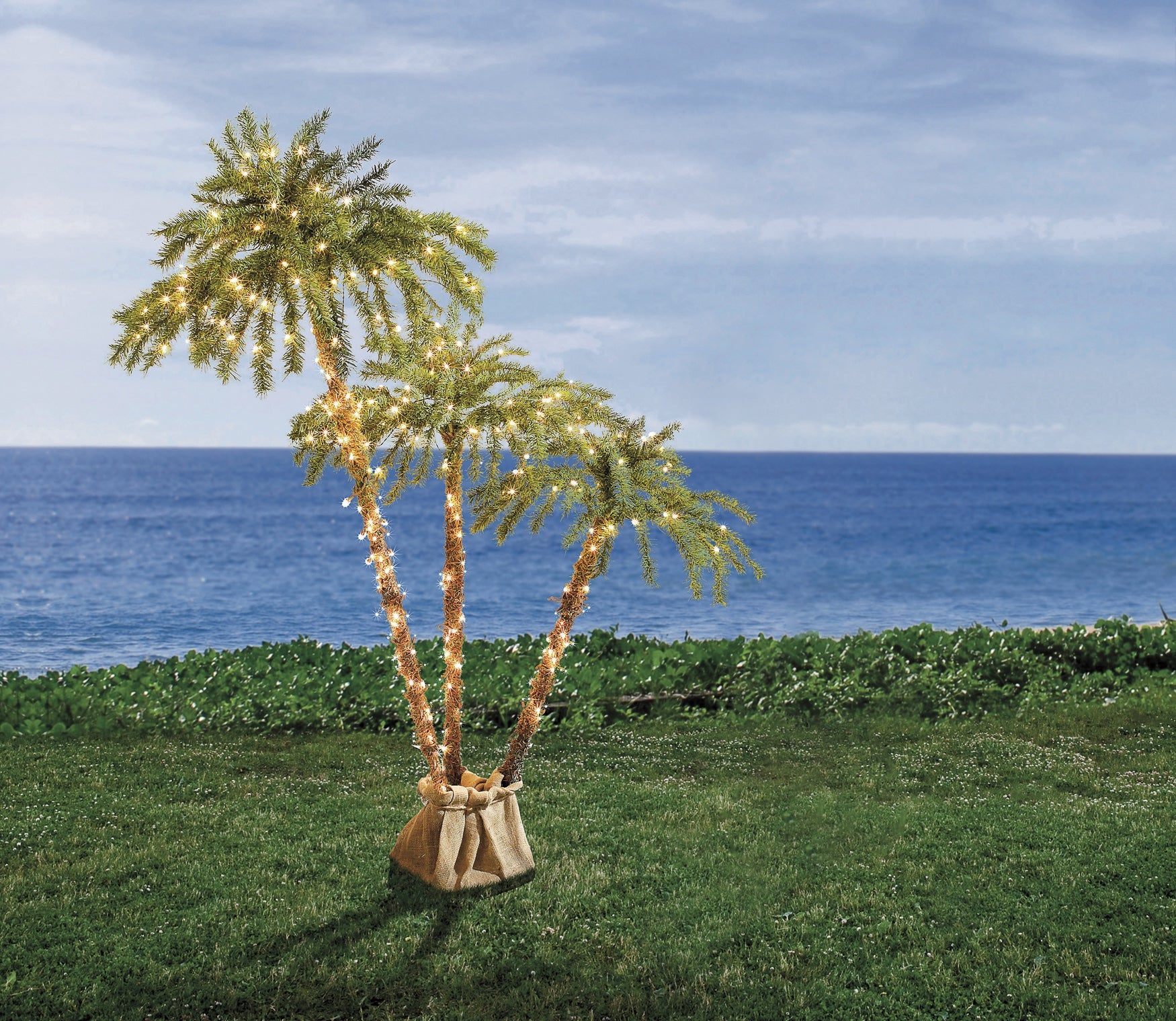 Lit shop palm trees
