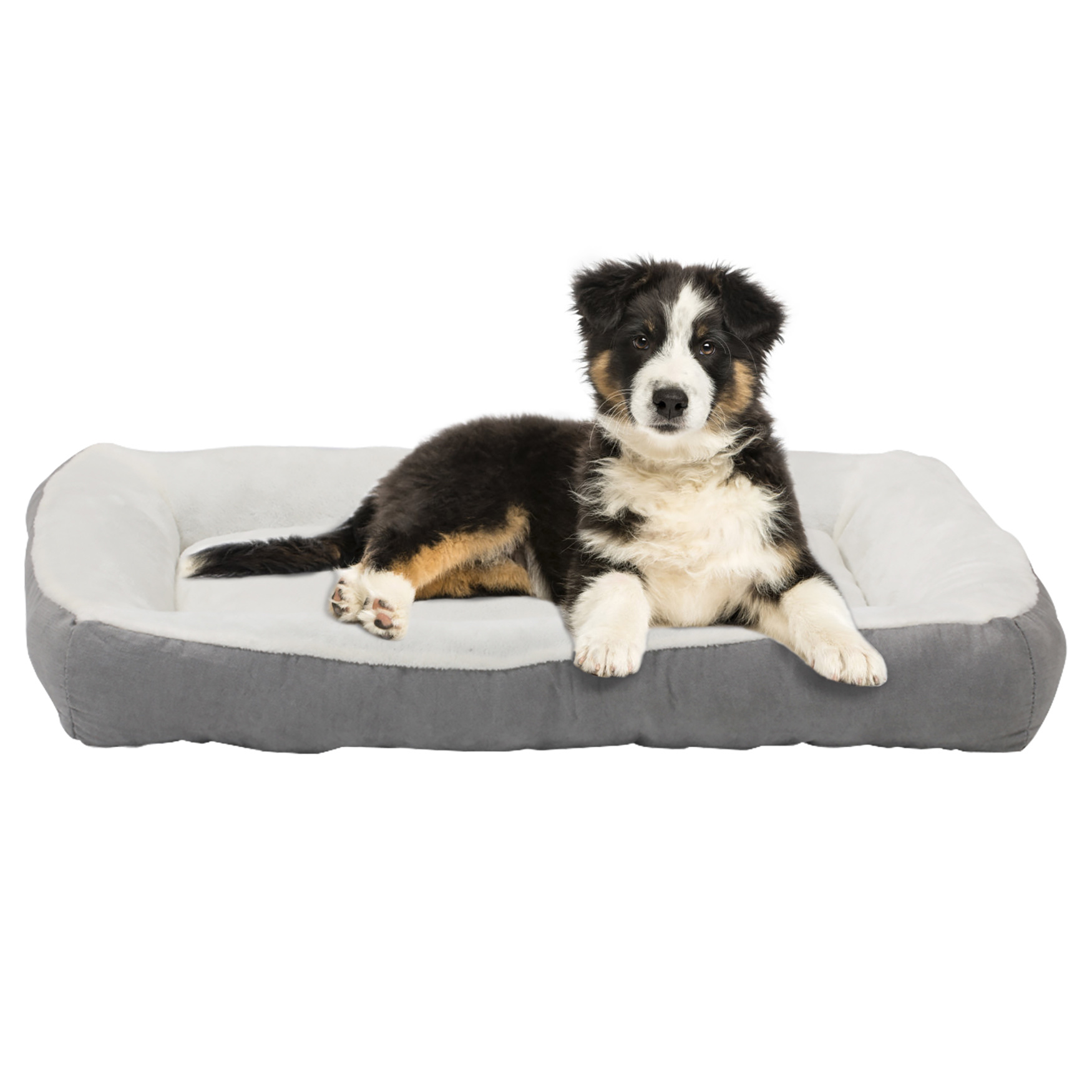 Happycare Tex Rectangle large Gray bumper pet bed, 40 x 30 inches, high quality plush cover and non-slip buttom, GRAY