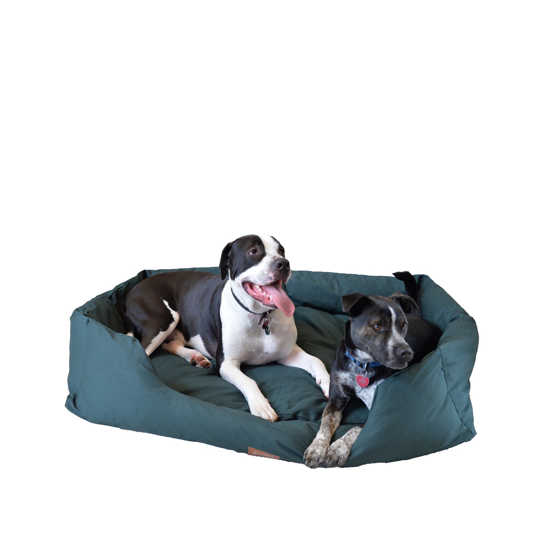 Extra Large Bolstered Dog Bed with Waterproof Lining, Green King Size