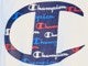 Champion&reg; Logo Tee, WHITE SCRIPT LOGO, swatch